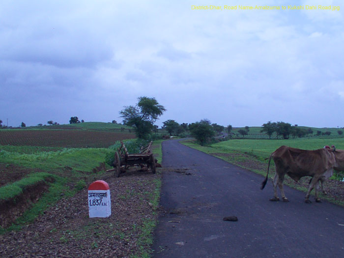 District-Dhar, Road Name-Amalzuma to Kukshi Dahi Road