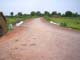 District-Damoh, Road Name-Balakoth Rd to Hathna